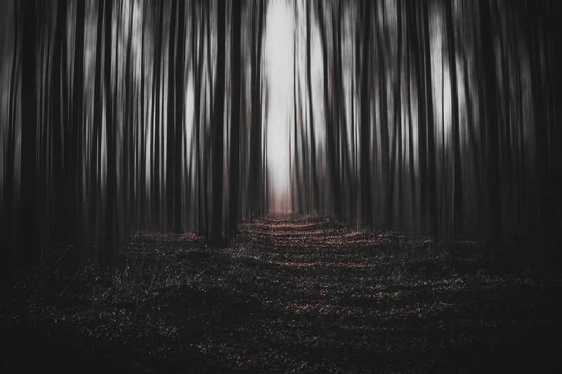 Magical Scenery Inspirations