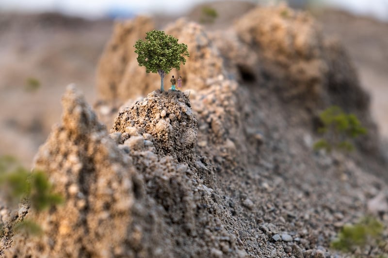 Whimsical Miniature Worlds